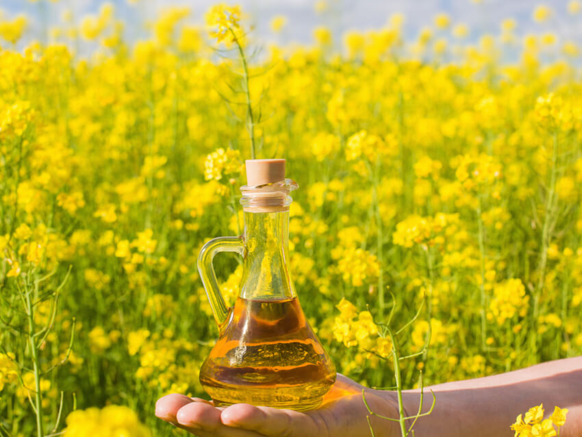 Canola Oil
