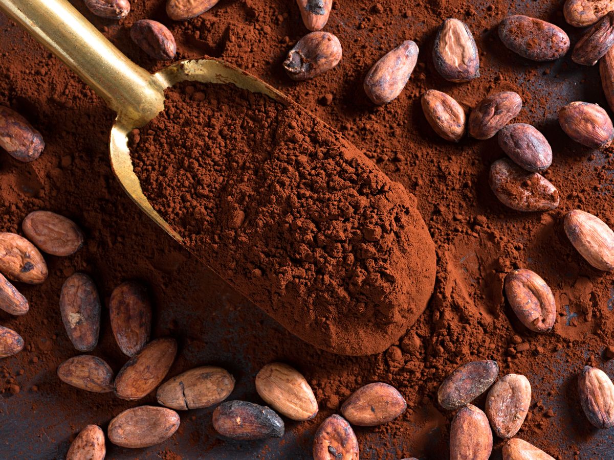 Cocoa Powder
