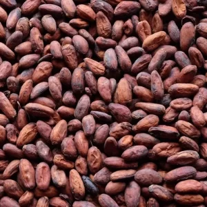 Cocoa beans