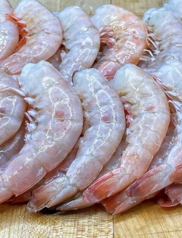 Shrimp